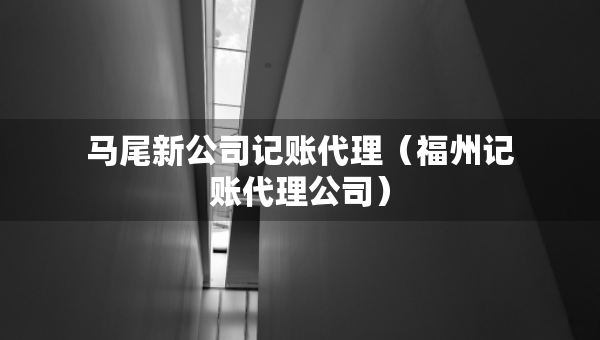 馬尾新公司記賬代理（福州記賬代理公司）