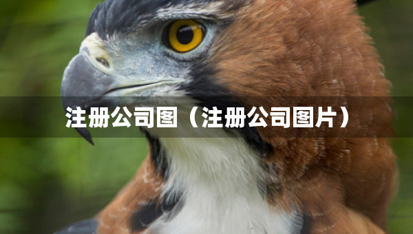 注冊(cè)公司圖（注冊(cè)公司圖片）