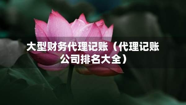 大型財(cái)務(wù)代理記賬（代理記賬公司排名大全）