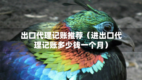 出口代理記賬推薦（進(jìn)出口代理記賬多少錢一個月）