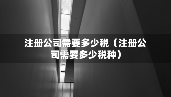 注冊(cè)公司需要多少稅（注冊(cè)公司需要多少稅種）