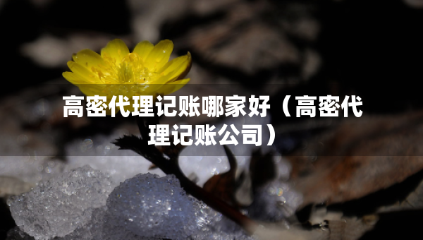 高密代理記賬哪家好（高密代理記賬公司）