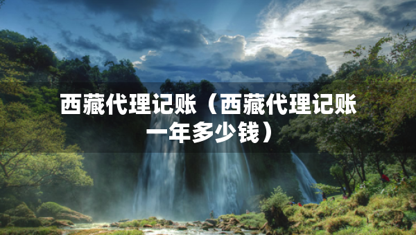 西藏代理記賬（西藏代理記賬一年多少錢）