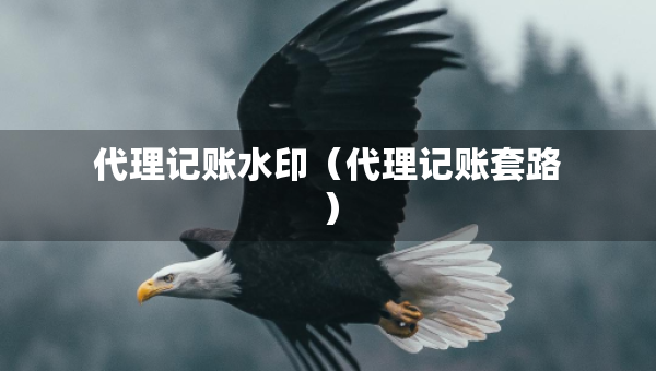 代理記賬水?。ù碛涃~套路）