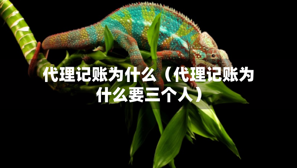 代理記賬為什么（代理記賬為什么要三個人）