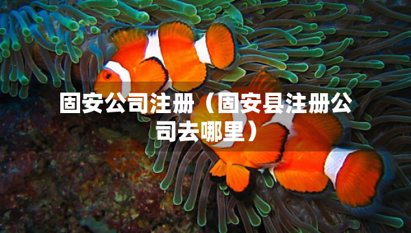固安公司注冊(cè)（固安縣注冊(cè)公司去哪里）
