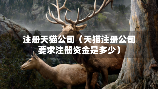 注冊(cè)天貓公司（天貓注冊(cè)公司要求注冊(cè)資金是多少）