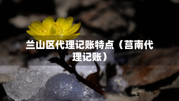 蘭山區(qū)代理記賬特點(diǎn)（莒南代理記賬）