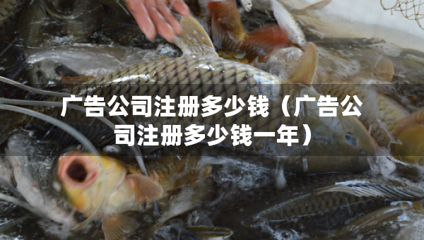 廣告公司注冊(cè)多少錢(qián)（廣告公司注冊(cè)多少錢(qián)一年）
