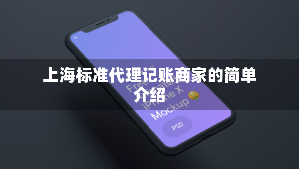 上海標(biāo)準(zhǔn)代理記賬商家的簡(jiǎn)單介紹