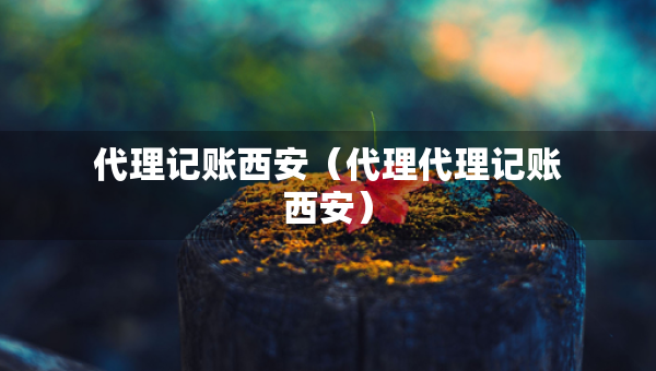 代理記賬西安（代理代理記賬西安）