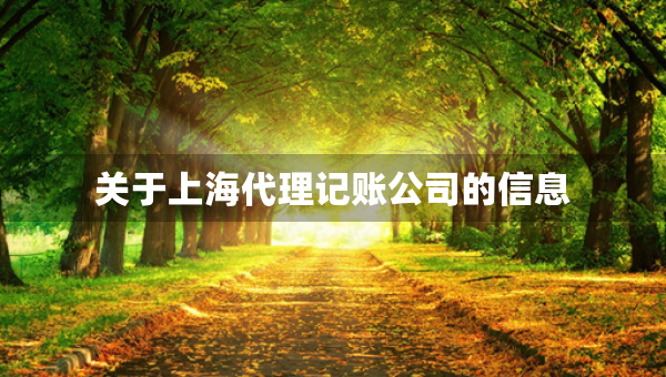 關(guān)于上海代理記賬公司的信息