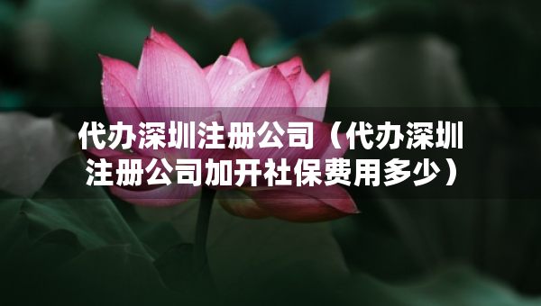 代辦深圳注冊(cè)公司（代辦深圳注冊(cè)公司加開社保費(fèi)用多少）