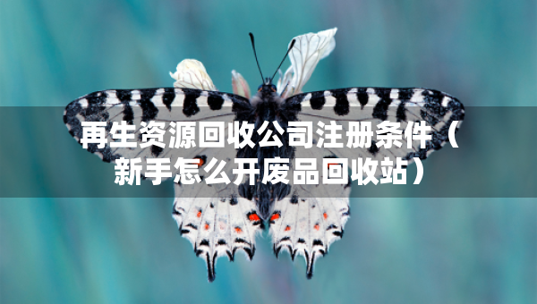 再生資源回收公司注冊條件（新手怎么開廢品回收站）