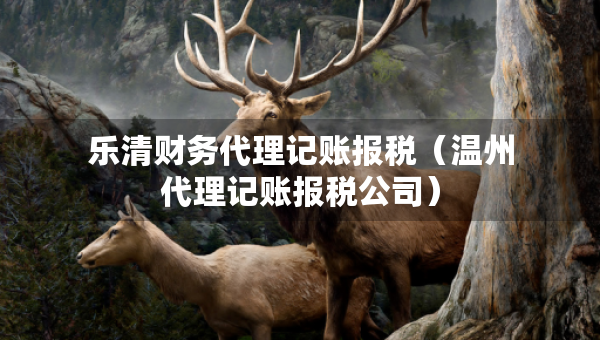 樂(lè)清財(cái)務(wù)代理記賬報(bào)稅（溫州代理記賬報(bào)稅公司）