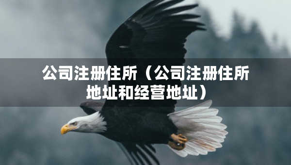 公司注冊(cè)住所（公司注冊(cè)住所地址和經(jīng)營(yíng)地址）
