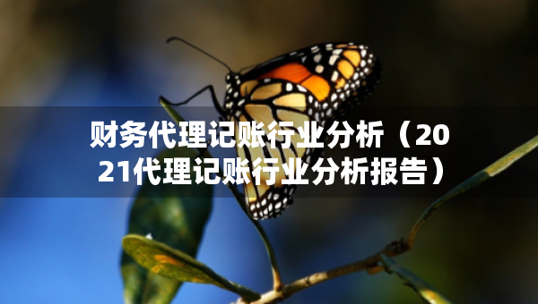 財務(wù)代理記賬行業(yè)分析（2021代理記賬行業(yè)分析報告）