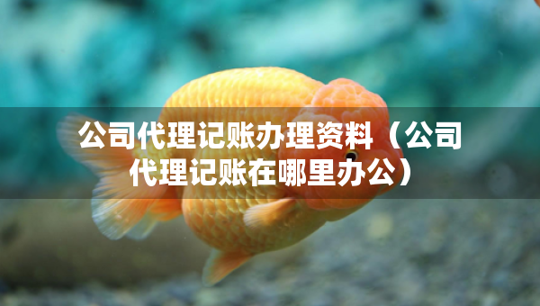 公司代理記賬辦理資料（公司代理記賬在哪里辦公）