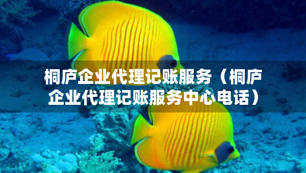 桐廬企業(yè)代理記賬服務(wù)（桐廬企業(yè)代理記賬服務(wù)中心電話）