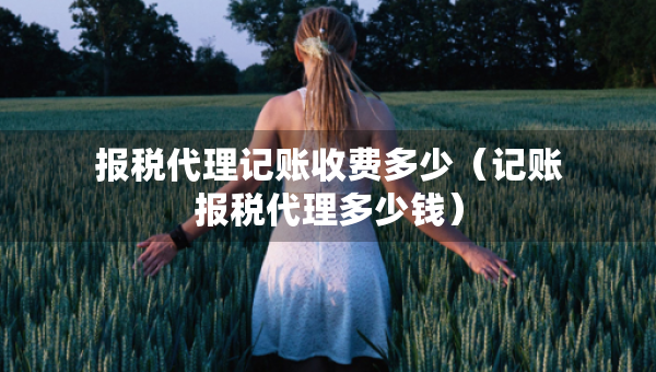 報(bào)稅代理記賬收費(fèi)多少（記賬報(bào)稅代理多少錢）
