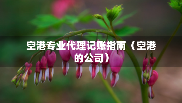 空港專業(yè)代理記賬指南（空港的公司）