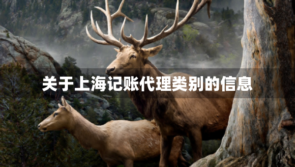 關于上海記賬代理類別的信息