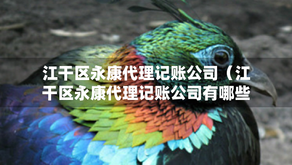 江干區(qū)永康代理記賬公司（江干區(qū)永康代理記賬公司有哪些）