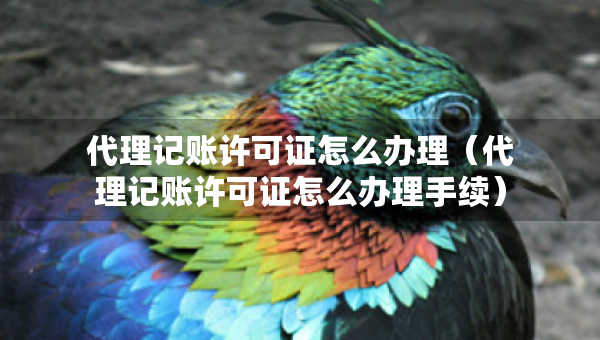 代理記賬許可證怎么辦理（代理記賬許可證怎么辦理手續(xù)）