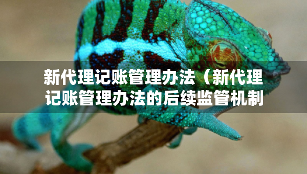 新代理記賬管理辦法（新代理記賬管理辦法的后續(xù)監(jiān)管機(jī)制是什么）