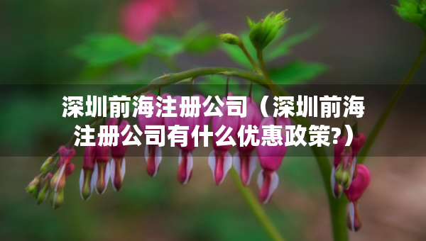 深圳前海注冊公司（深圳前海注冊公司有什么優(yōu)惠政策?）