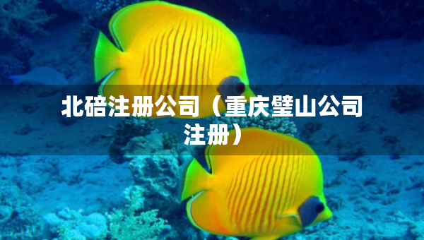 北碚注冊公司（重慶璧山公司注冊）