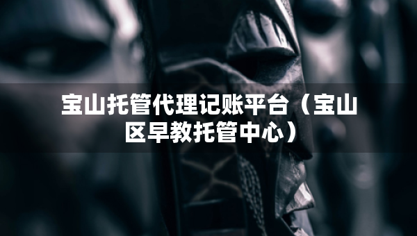 寶山托管代理記賬平臺（寶山區(qū)早教托管中心）