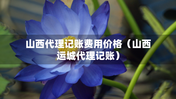 山西代理記賬費(fèi)用價(jià)格（山西運(yùn)城代理記賬）