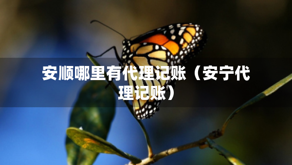 安順哪里有代理記賬（安寧代理記賬）