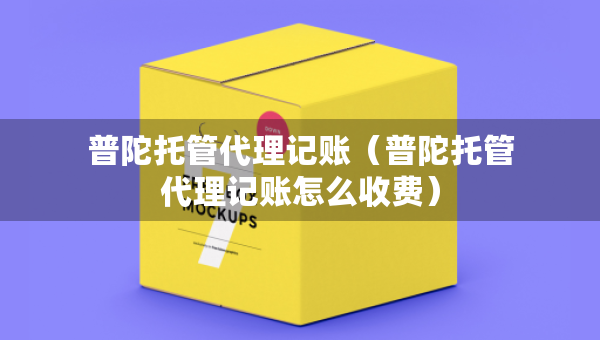 普陀托管代理記賬（普陀托管代理記賬怎么收費(fèi)）