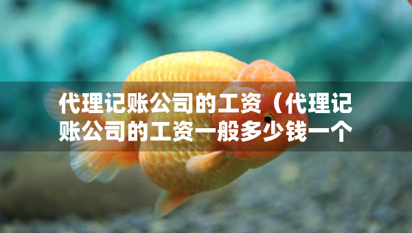 代理記賬公司的工資（代理記賬公司的工資一般多少錢(qián)一個(gè)月）
