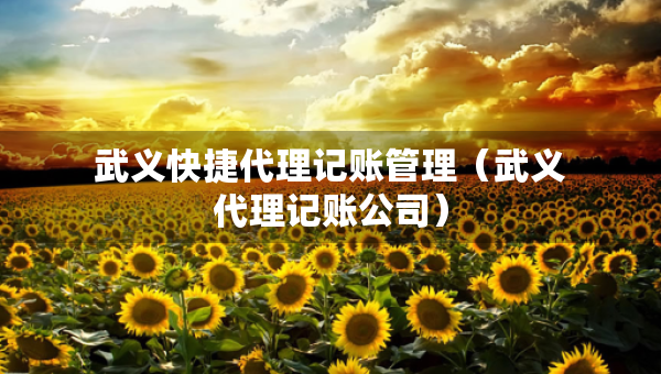 武義快捷代理記賬管理（武義代理記賬公司）