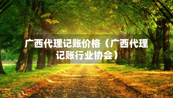 廣西代理記賬價格（廣西代理記賬行業(yè)協(xié)會）