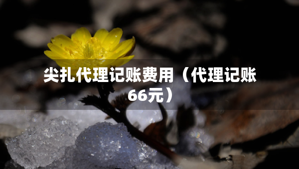 尖扎代理記賬費用（代理記賬66元）