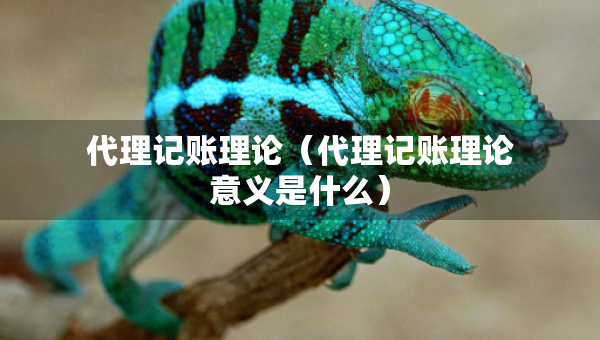 代理記賬理論（代理記賬理論意義是什么）
