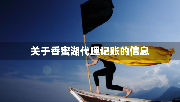 關于香蜜湖代理記賬的信息