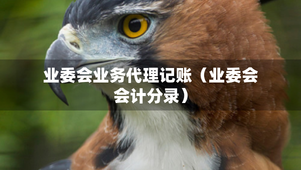 業(yè)委會業(yè)務代理記賬（業(yè)委會會計分錄）