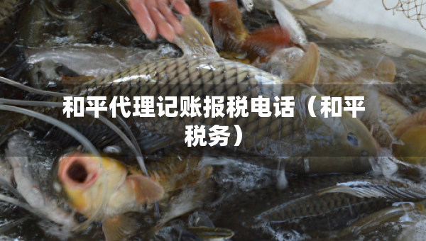 和平代理記賬報(bào)稅電話（和平稅務(wù)）