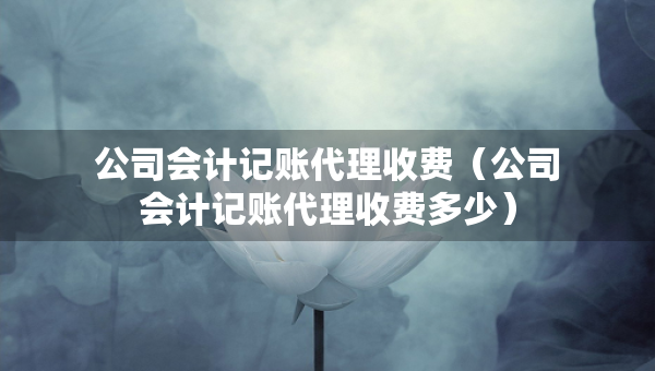公司會計記賬代理收費（公司會計記賬代理收費多少）
