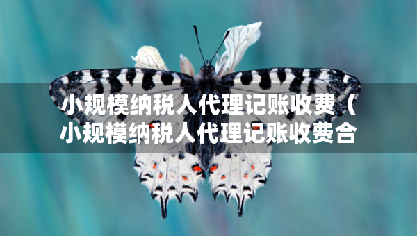 小規(guī)模納稅人代理記賬收費(fèi)（小規(guī)模納稅人代理記賬收費(fèi)合理嗎）