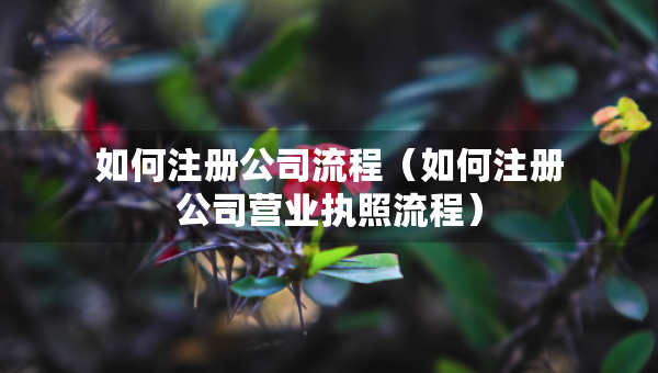 如何注冊公司流程（如何注冊公司營業(yè)執(zhí)照流程）