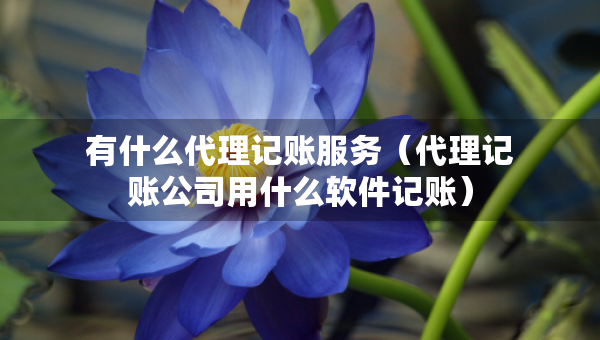 有什么代理記賬服務(wù)（代理記賬公司用什么軟件記賬）
