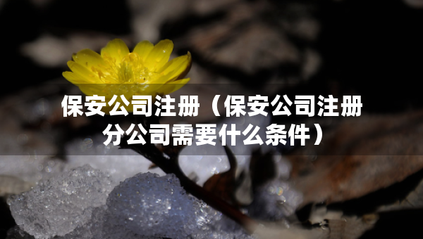 保安公司注冊(cè)（保安公司注冊(cè)分公司需要什么條件）