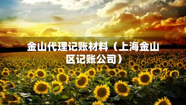 金山代理記賬材料（上海金山區(qū)記賬公司）