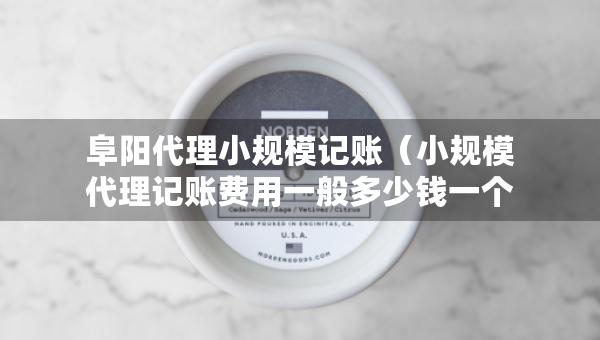 阜陽代理小規(guī)模記賬（小規(guī)模代理記賬費用一般多少錢一個月）